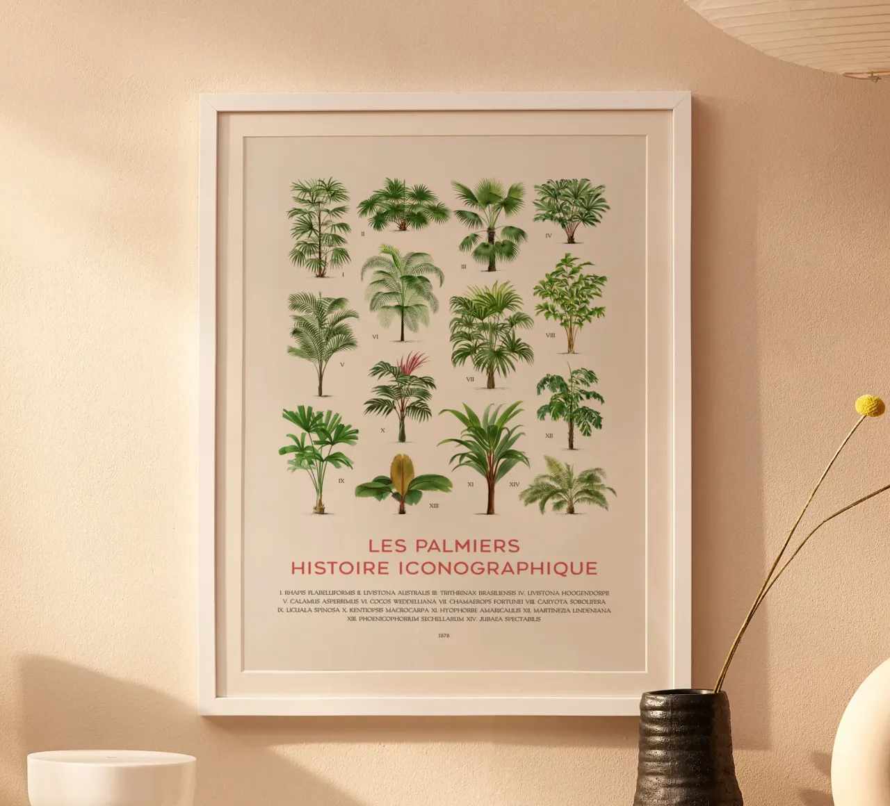 Grafico dei tipi di palme carta hahnemühle da Vintagrafica