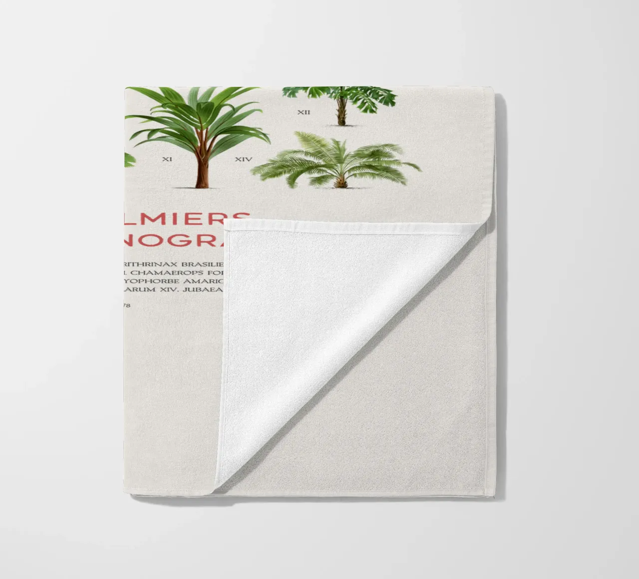 Grafico dei tipi di palme telo mare da Vintagrafica