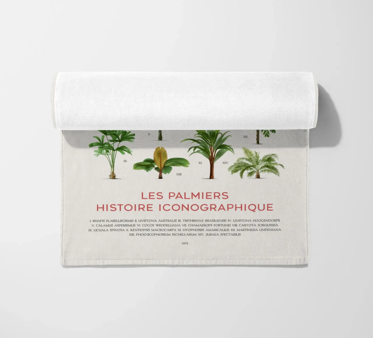 Grafico dei tipi di palme telo mare da Vintagrafica
