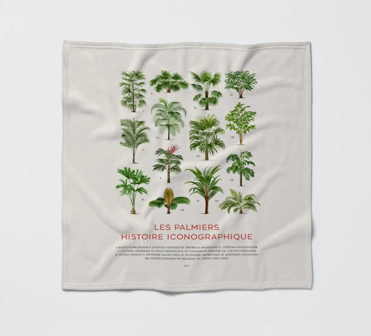 Grafico dei tipi di palme coperta in pile da Vintagrafica
