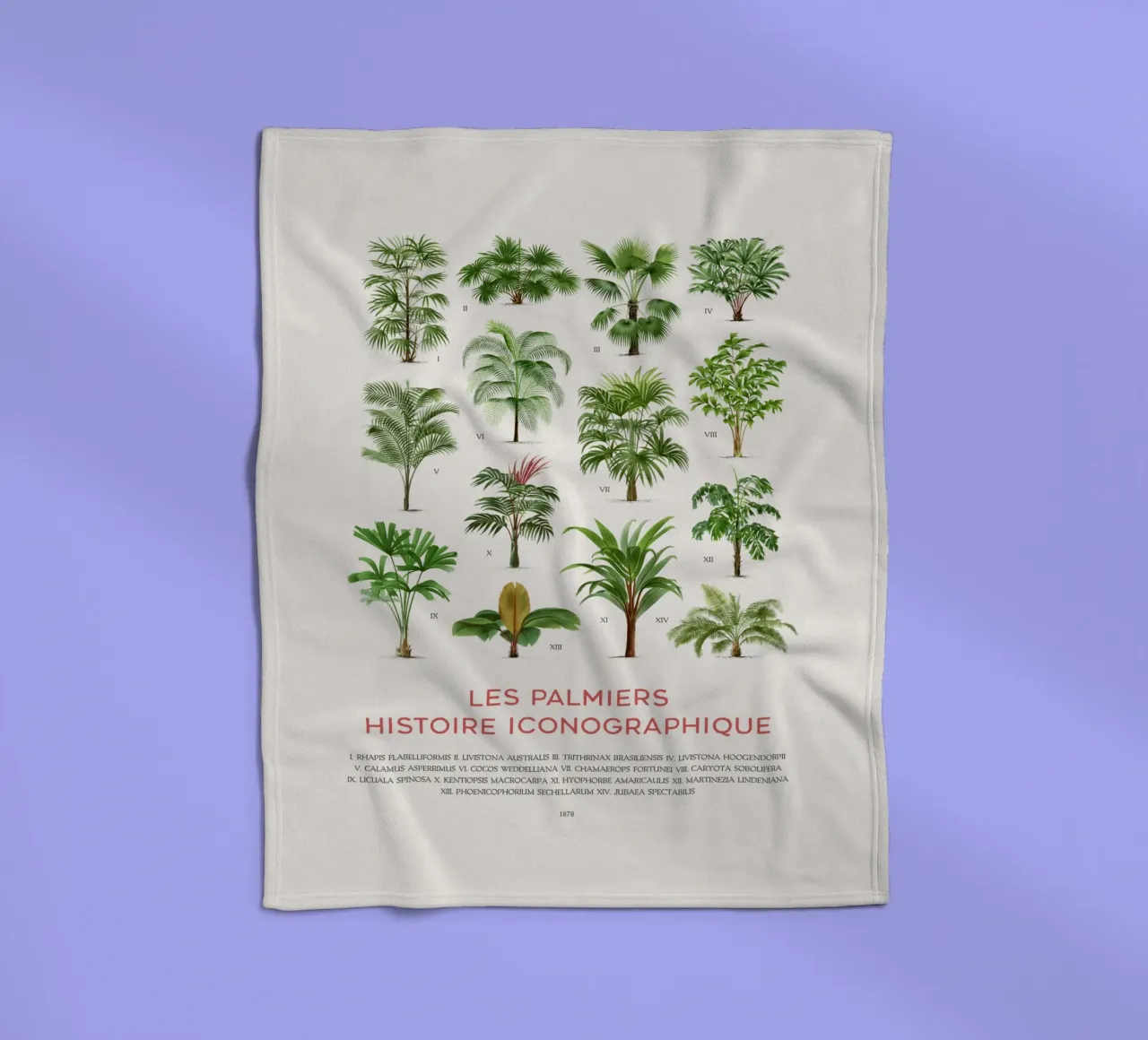 Grafico dei tipi di palme coperta in pile da Vintagrafica