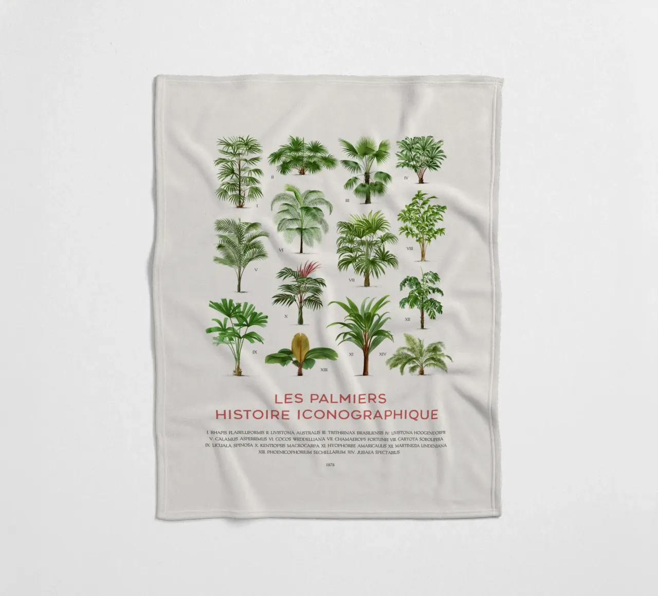 Grafico dei tipi di palme coperta in pile da Vintagrafica