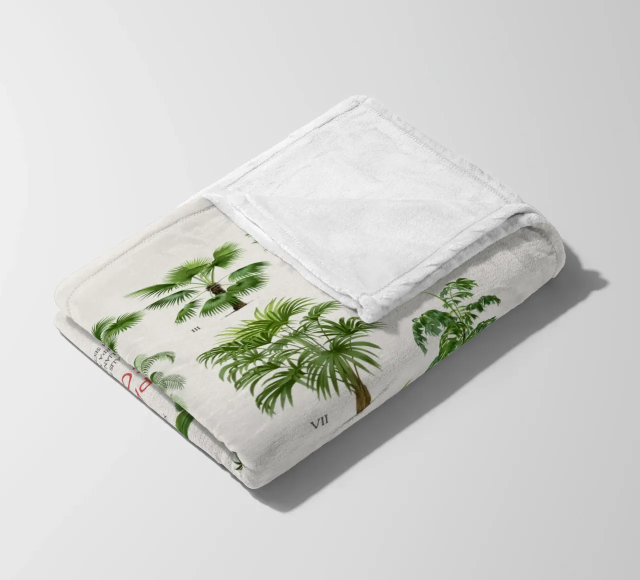 Grafico dei tipi di palme coperta in pile da Vintagrafica