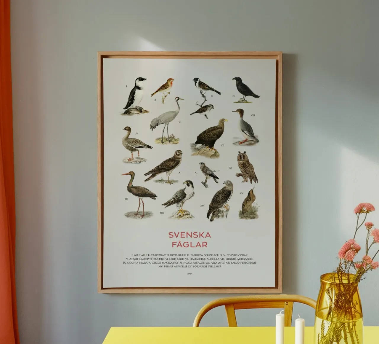 Grafico didattico sugli uccelli svedesi tela con Cornice a cassetta da Vintagrafica