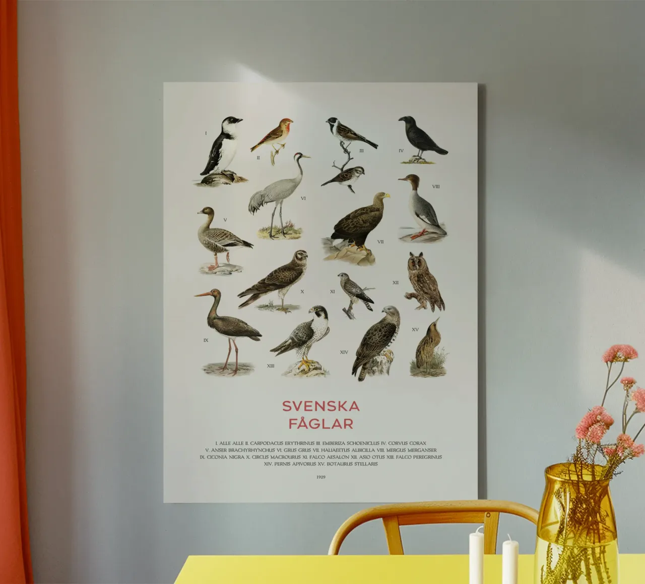 Grafico didattico sugli uccelli svedesi tela con Cornice a cassetta da Vintagrafica
