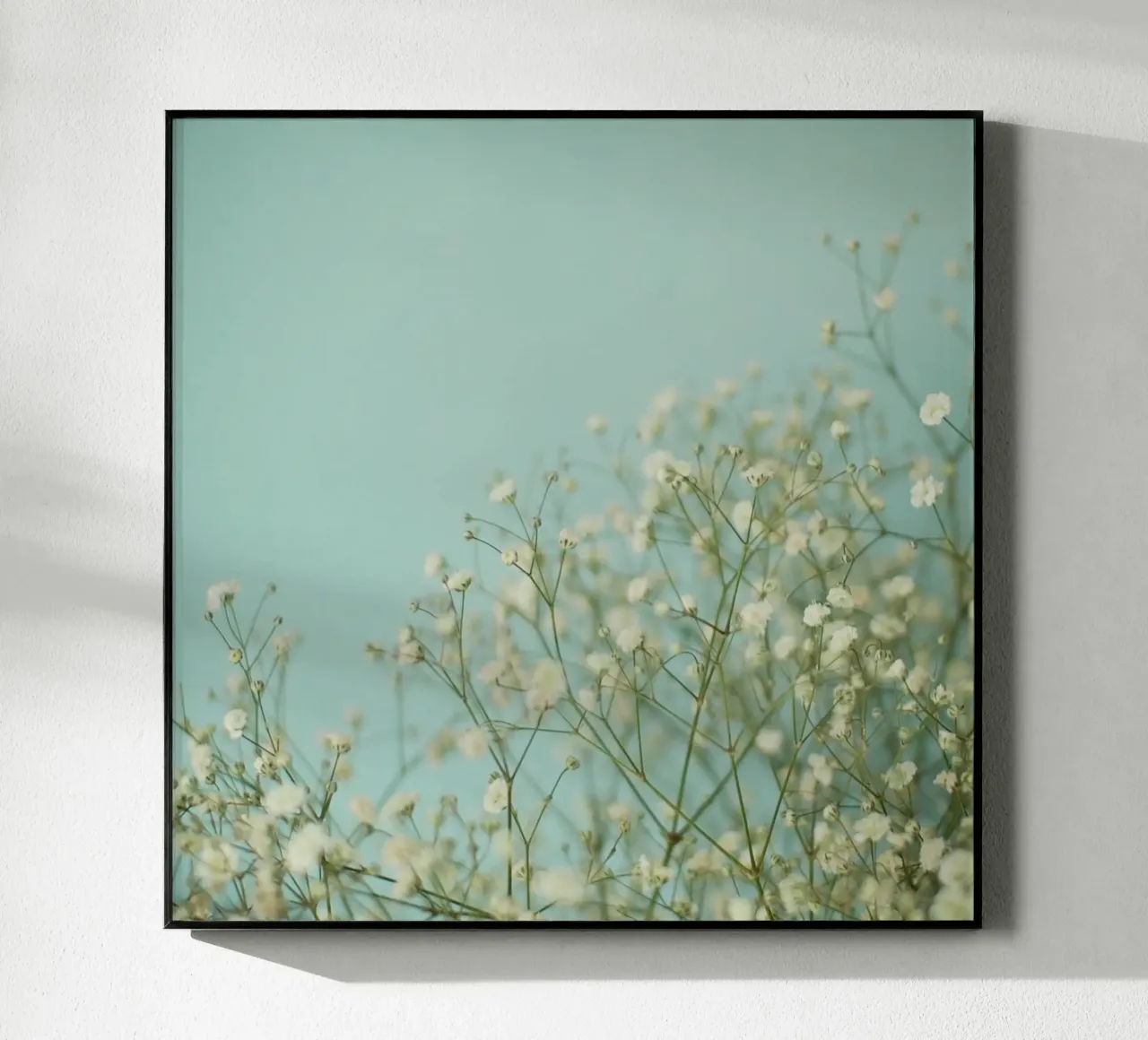 Baby Blue acrylic glass by Cassia Beck Photography