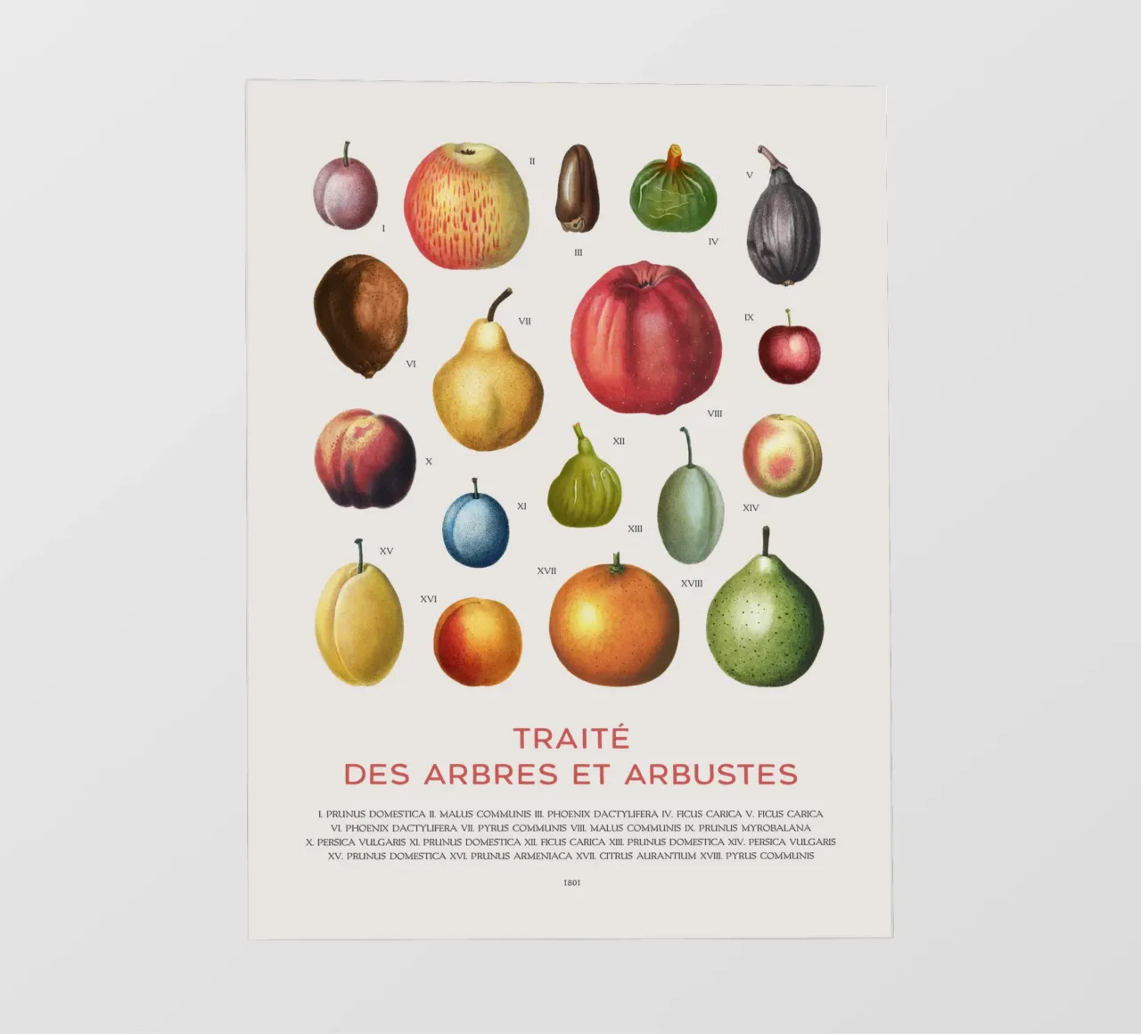 Tabella della frutta telo in pvc da Vintagrafica