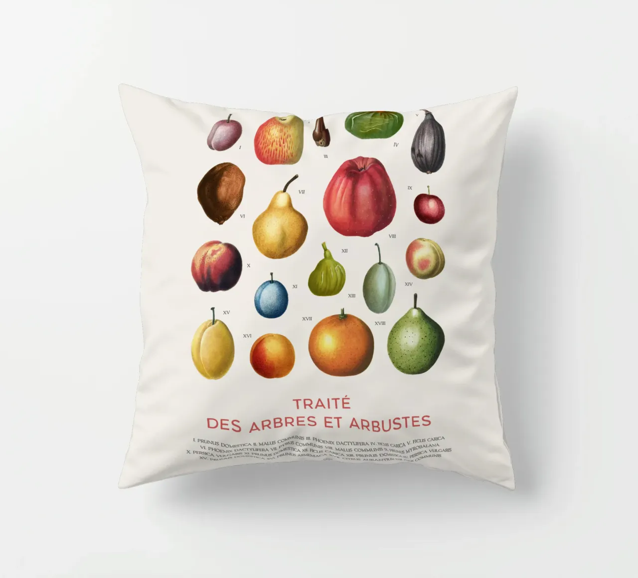 Tabella della frutta cuscino da Vintagrafica