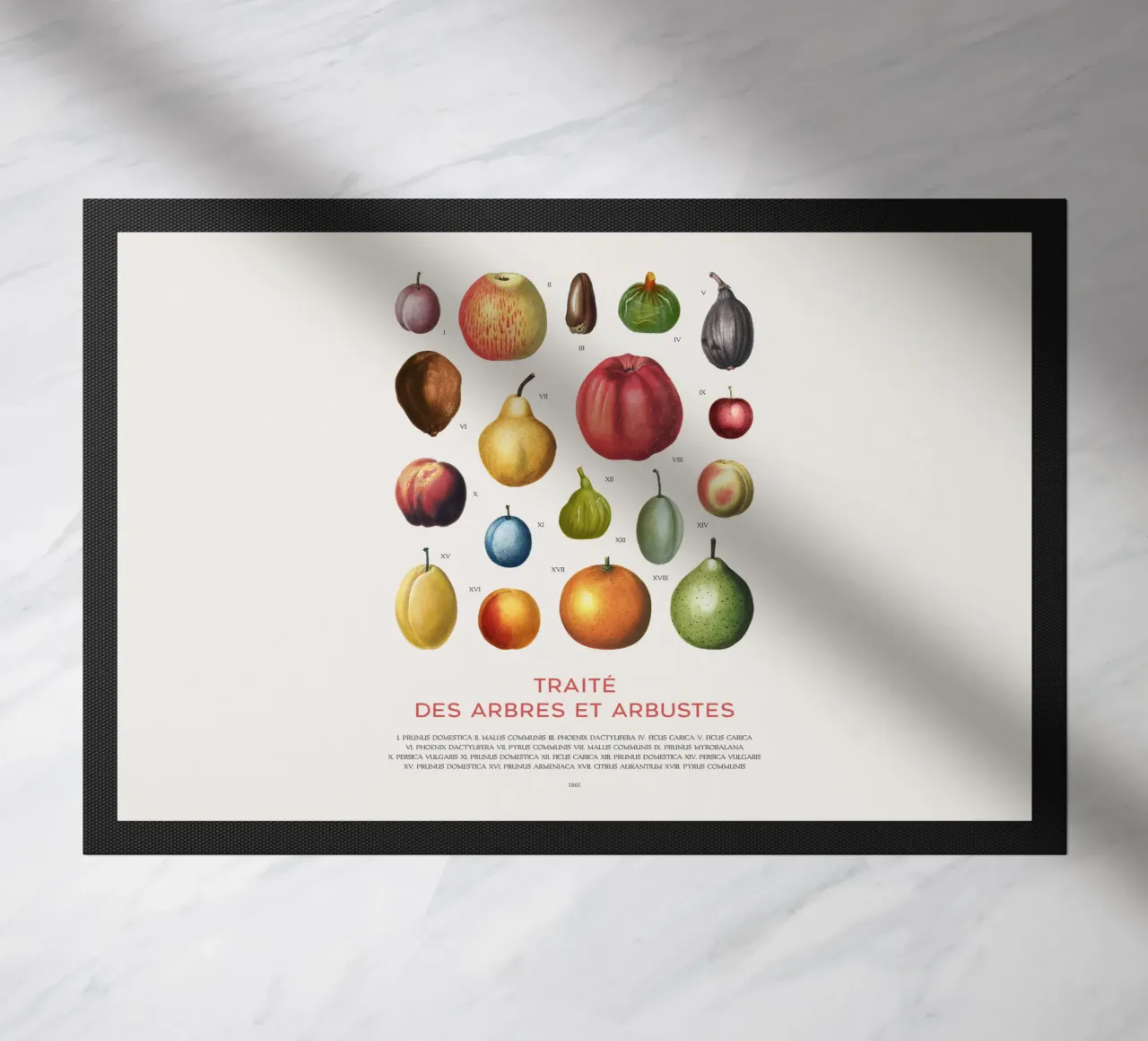 Tabella della frutta zerbino da Vintagrafica