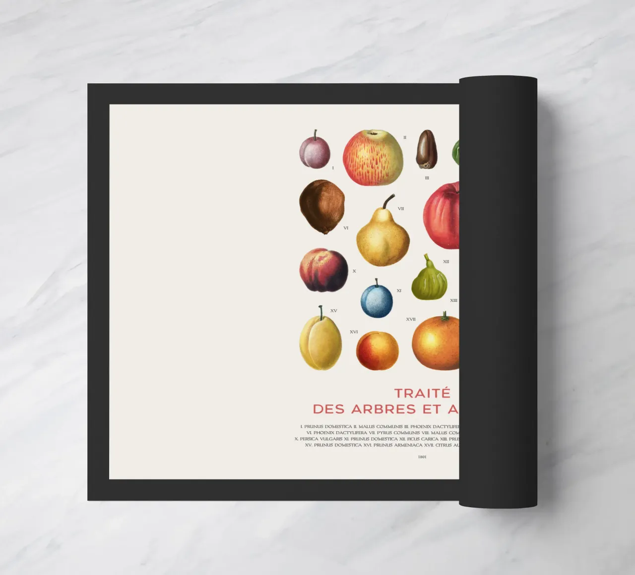 Tabella della frutta zerbino da Vintagrafica