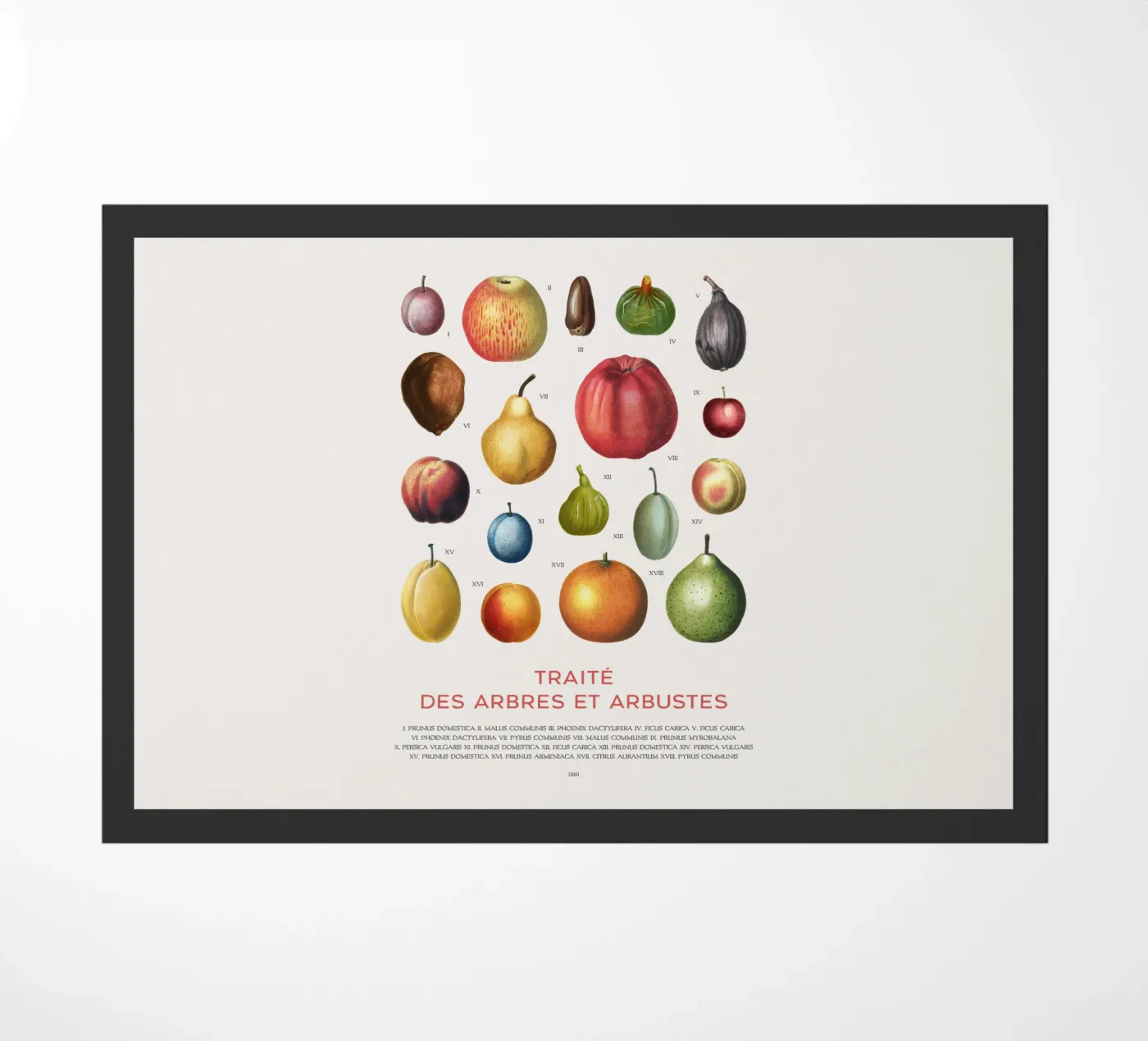 Fruit chart Fußmatte von Vintagrafica