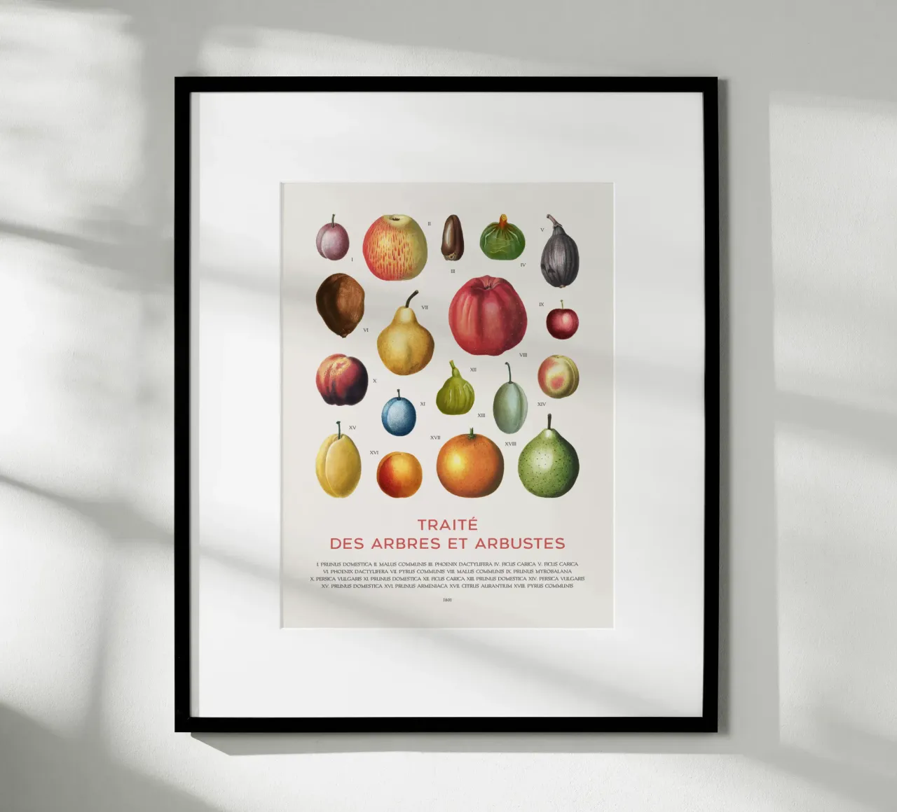 Tabella della frutta poster con telaio in legno da Vintagrafica