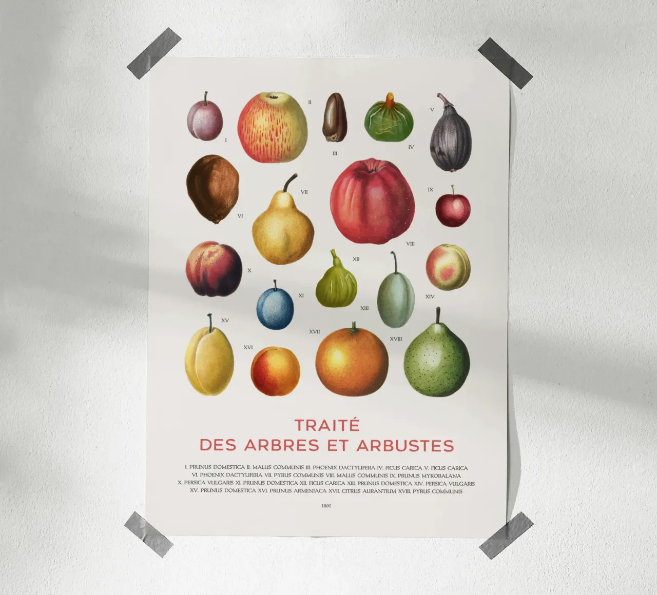 Tabella della frutta poster con telaio in legno da Vintagrafica