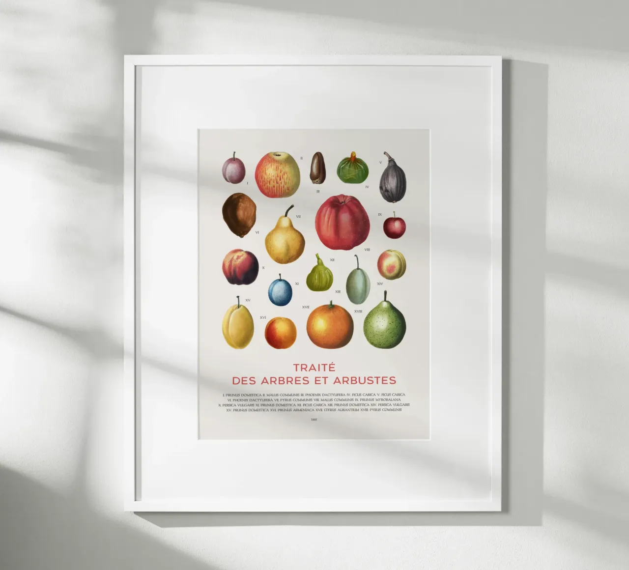 Tabella della frutta poster con telaio in legno da Vintagrafica