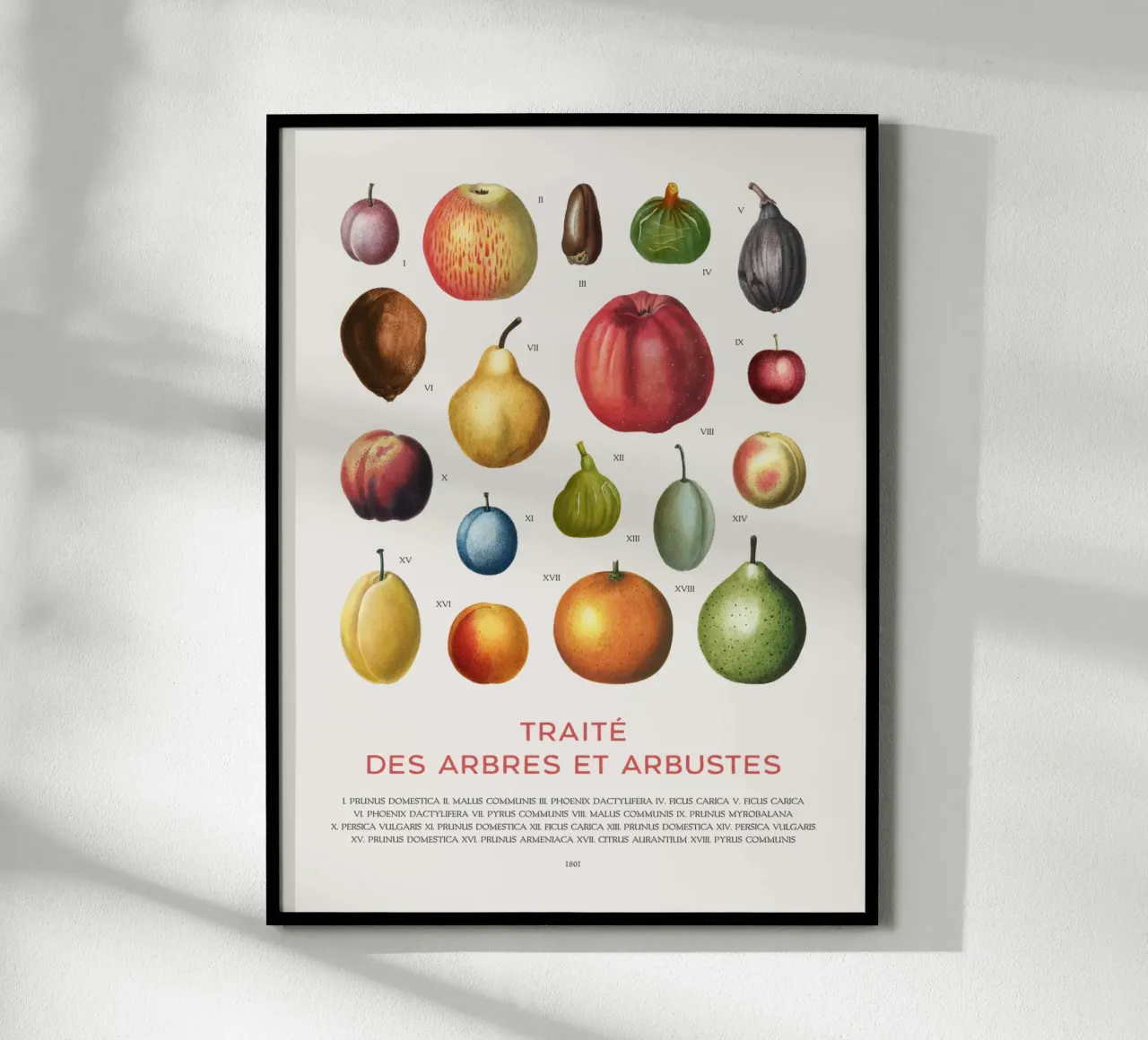 Tabella della frutta poster con telaio in legno da Vintagrafica