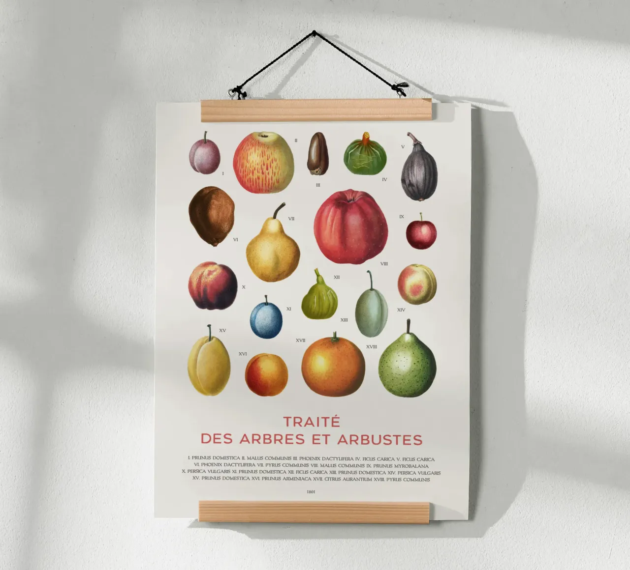 Tabella della frutta poster con telaio in legno da Vintagrafica