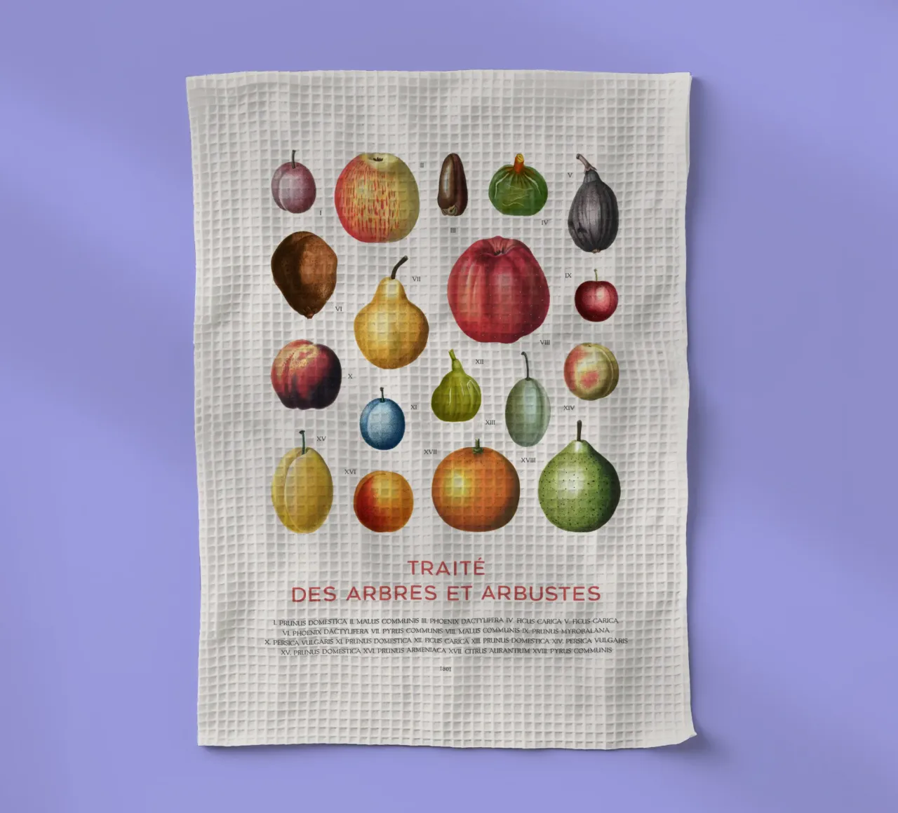 Tabella della frutta canovaccio da cucina da Vintagrafica