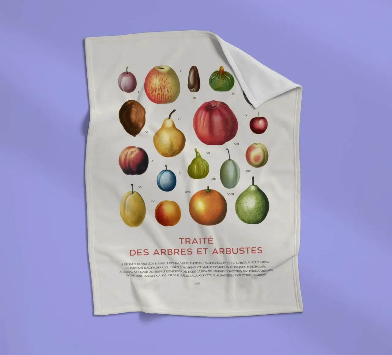 Fruit chart Fleecedecke von Vintagrafica