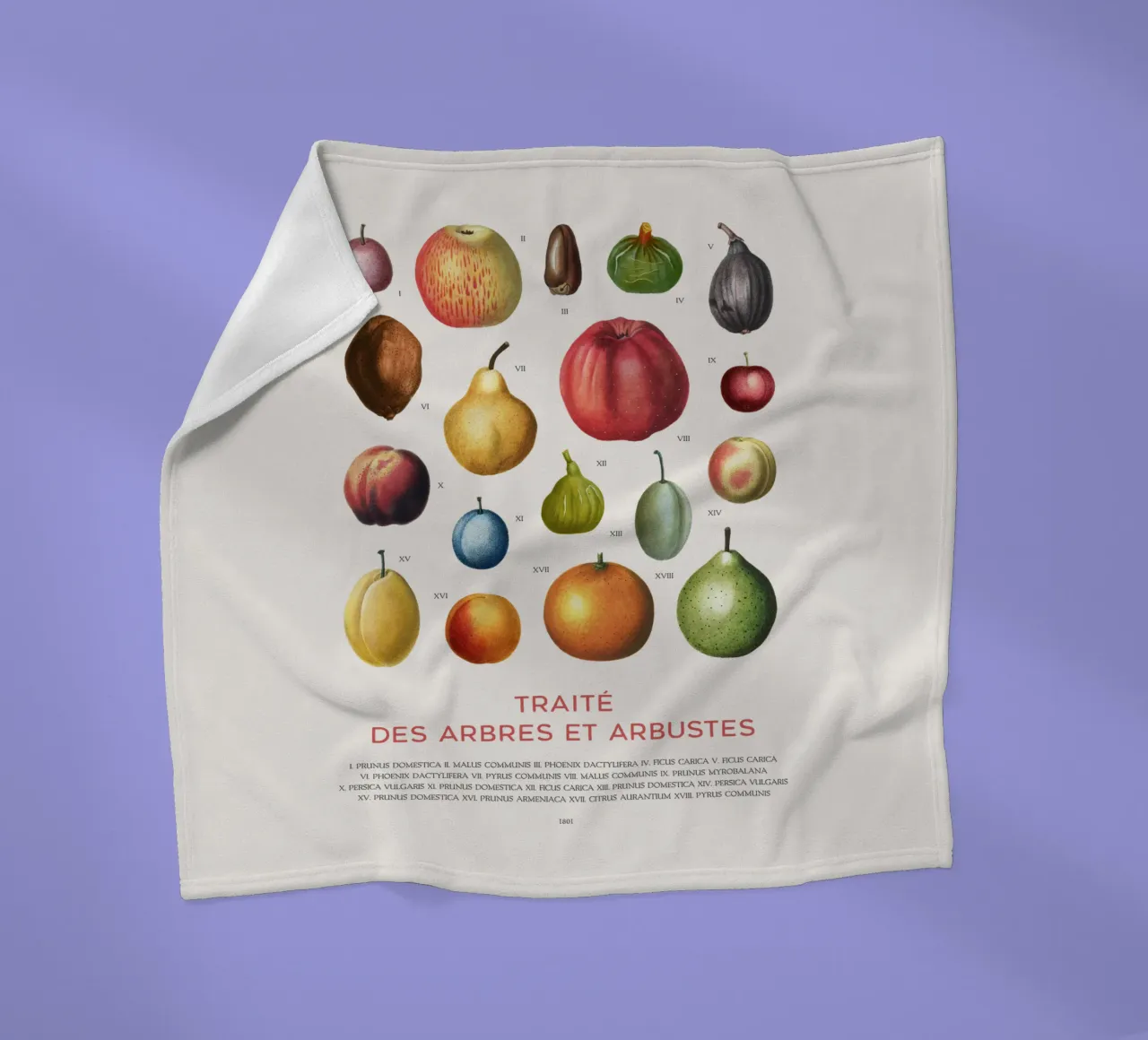 Fruit chart Fleecedecke von Vintagrafica