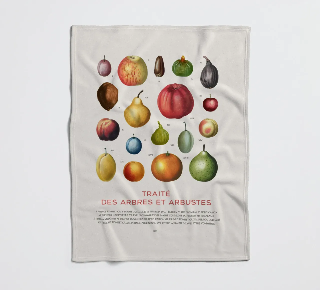 Fruit chart Fleecedecke von Vintagrafica