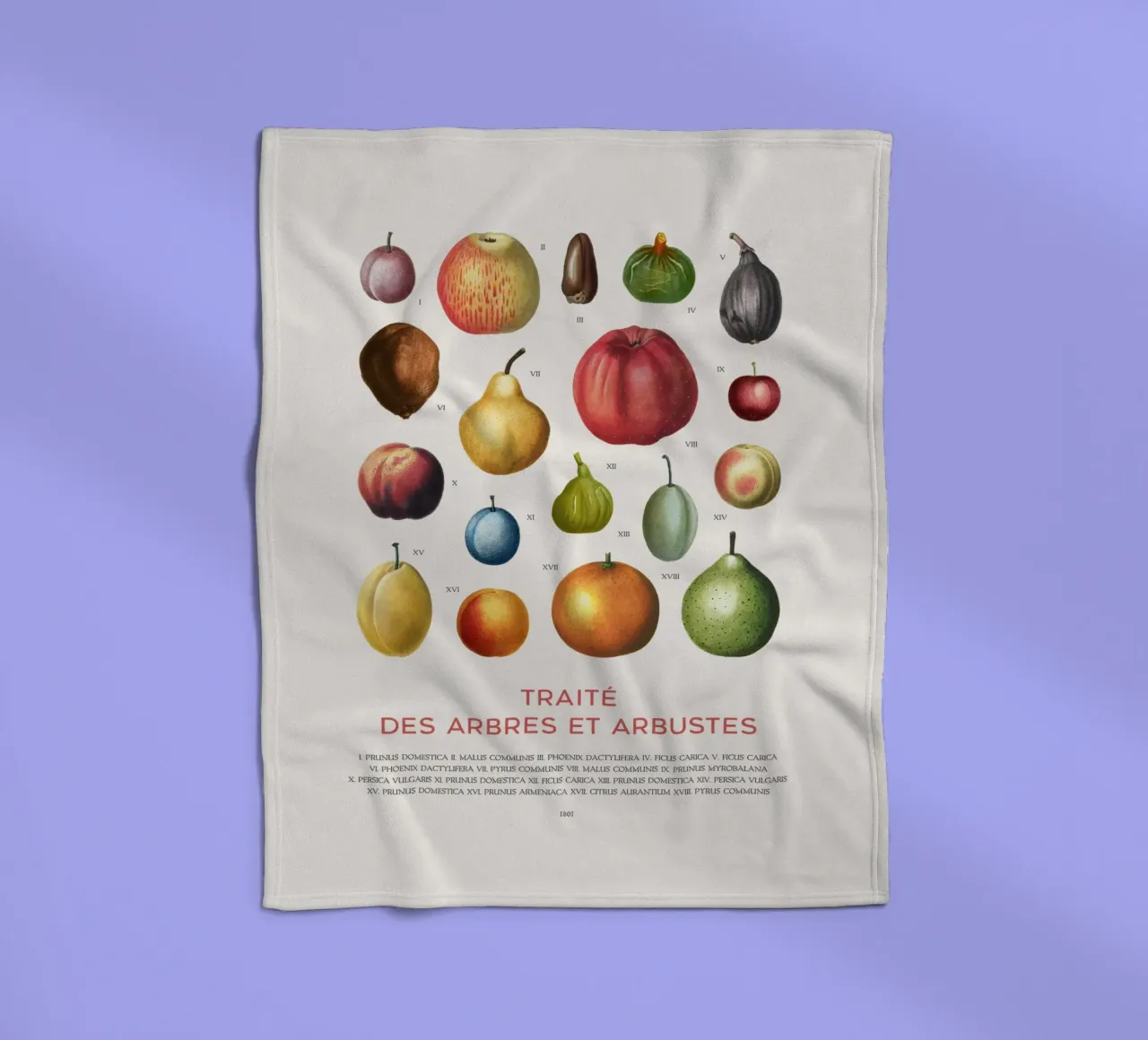 Fruit chart Fleecedecke von Vintagrafica