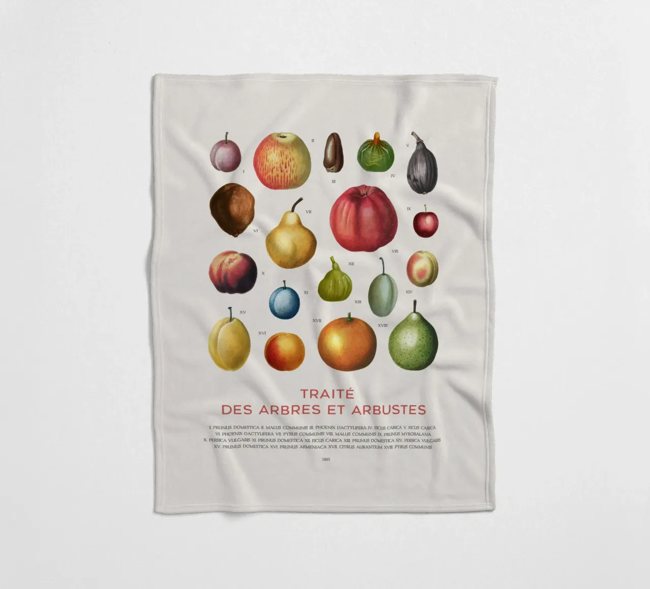 Fruit chart Fleecedecke von Vintagrafica