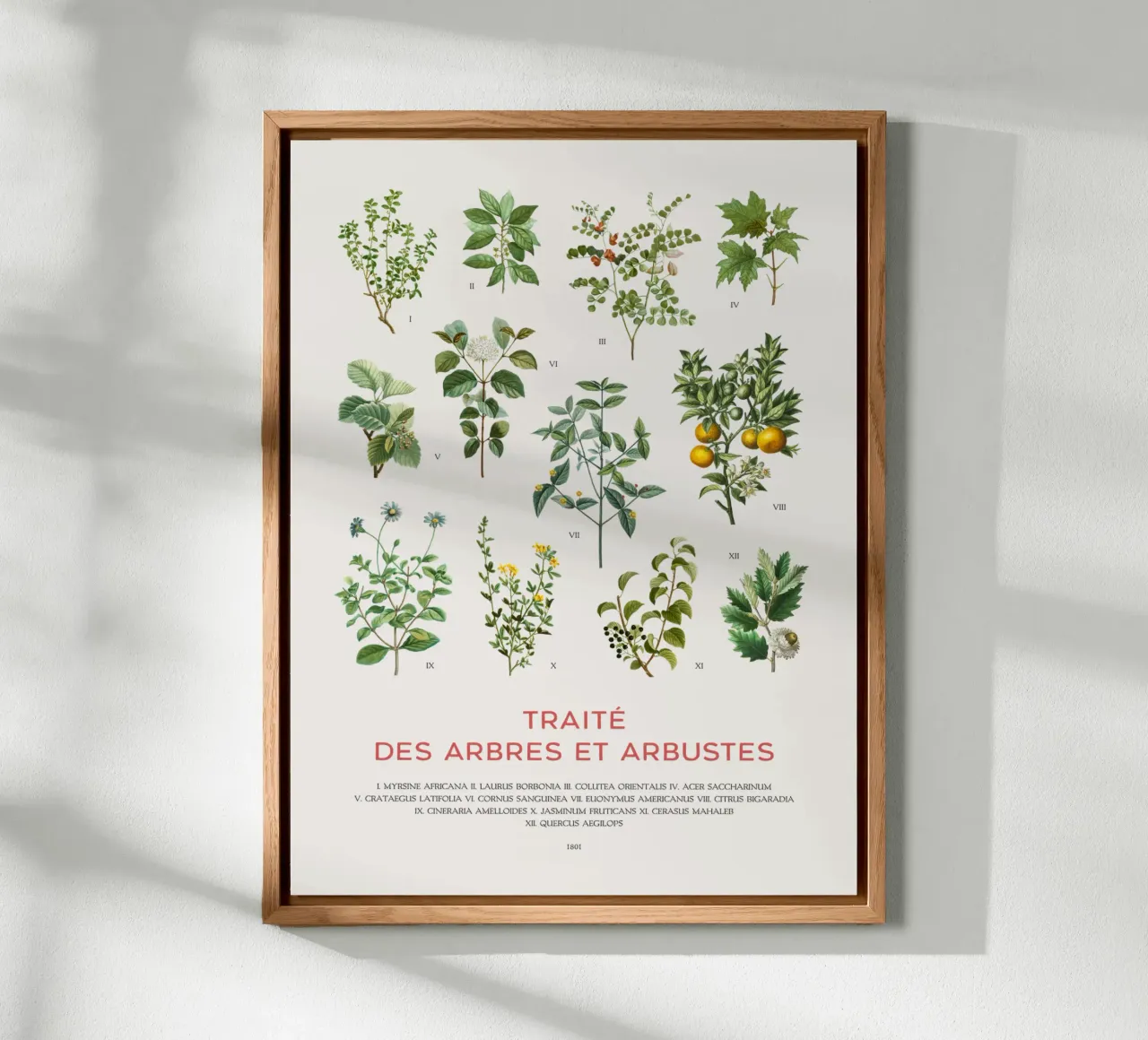 Tabella degli alberi e degli arbusti alluminio dibond da Vintagrafica