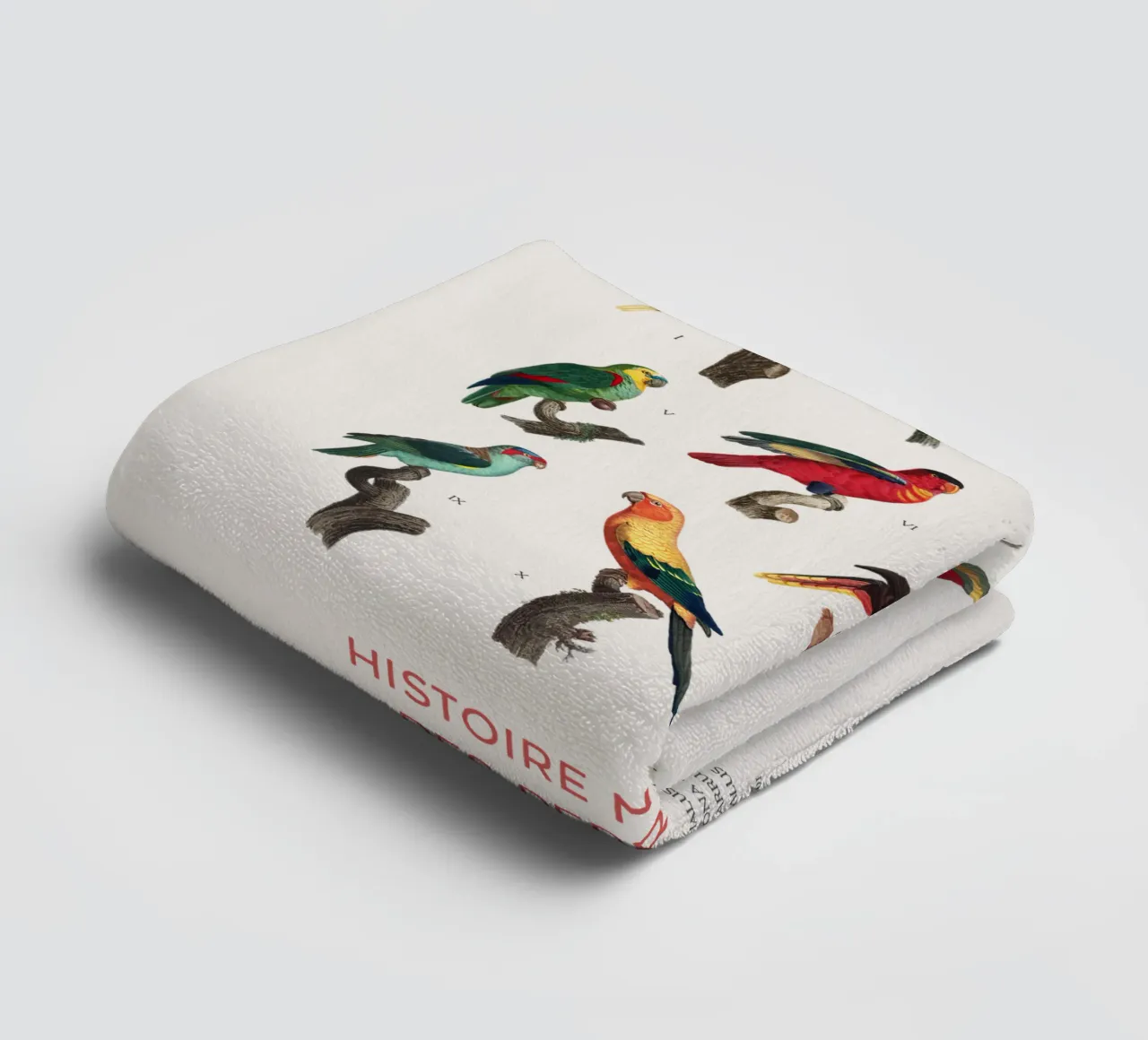 Parrots and Parakeets Identification Chart towel by Vintagrafica