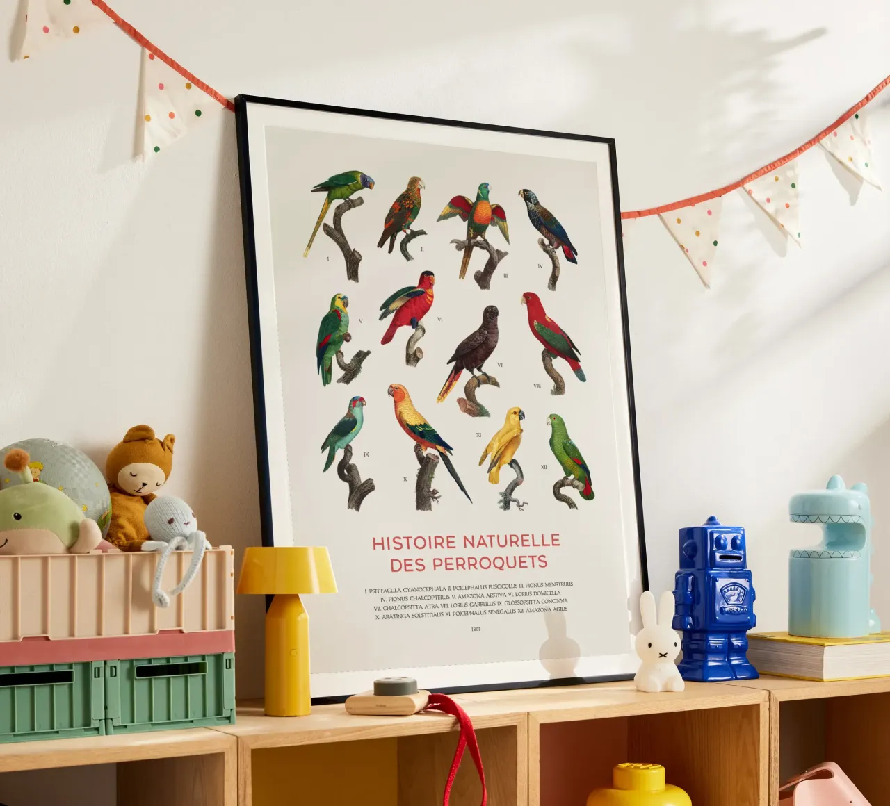 Parrots and Parakeets Identification Chart hahnemühle by Vintagrafica