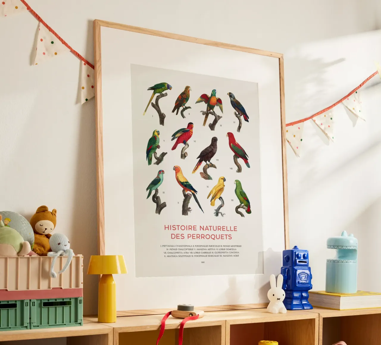 Parrots and Parakeets Identification Chart hahnemühle by Vintagrafica