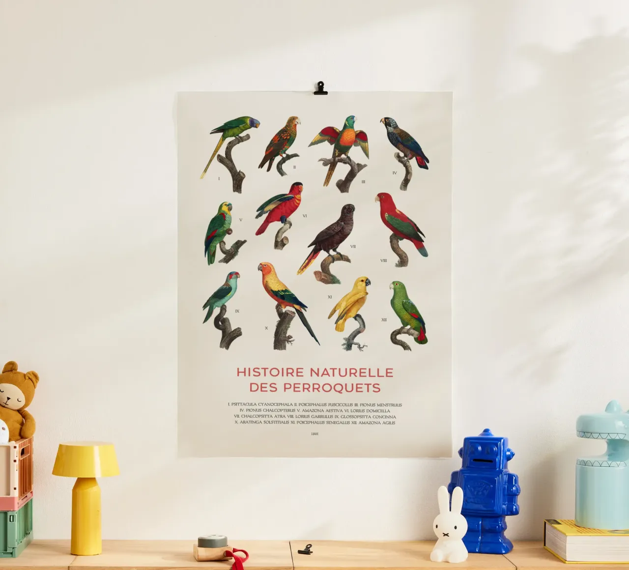 Parrots and Parakeets Identification Chart hahnemühle by Vintagrafica