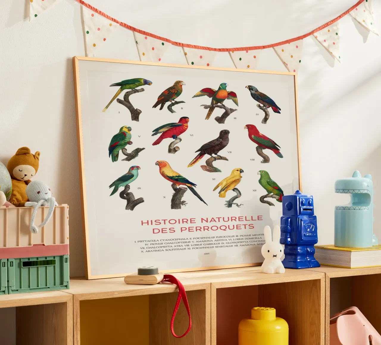 Parrots and Parakeets Identification Chart hahnemühle by Vintagrafica