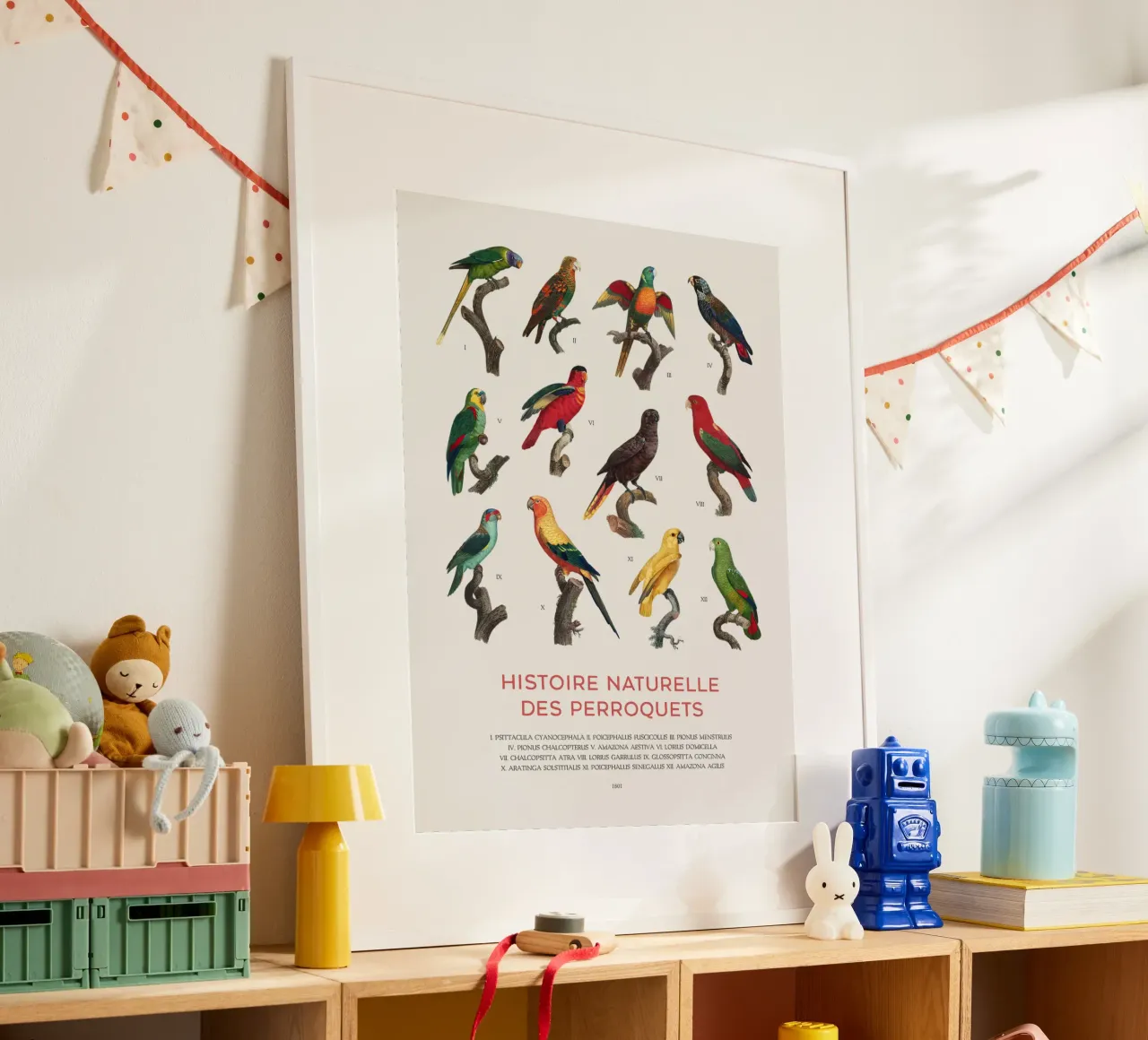 Parrots and Parakeets Identification Chart hahnemühle by Vintagrafica