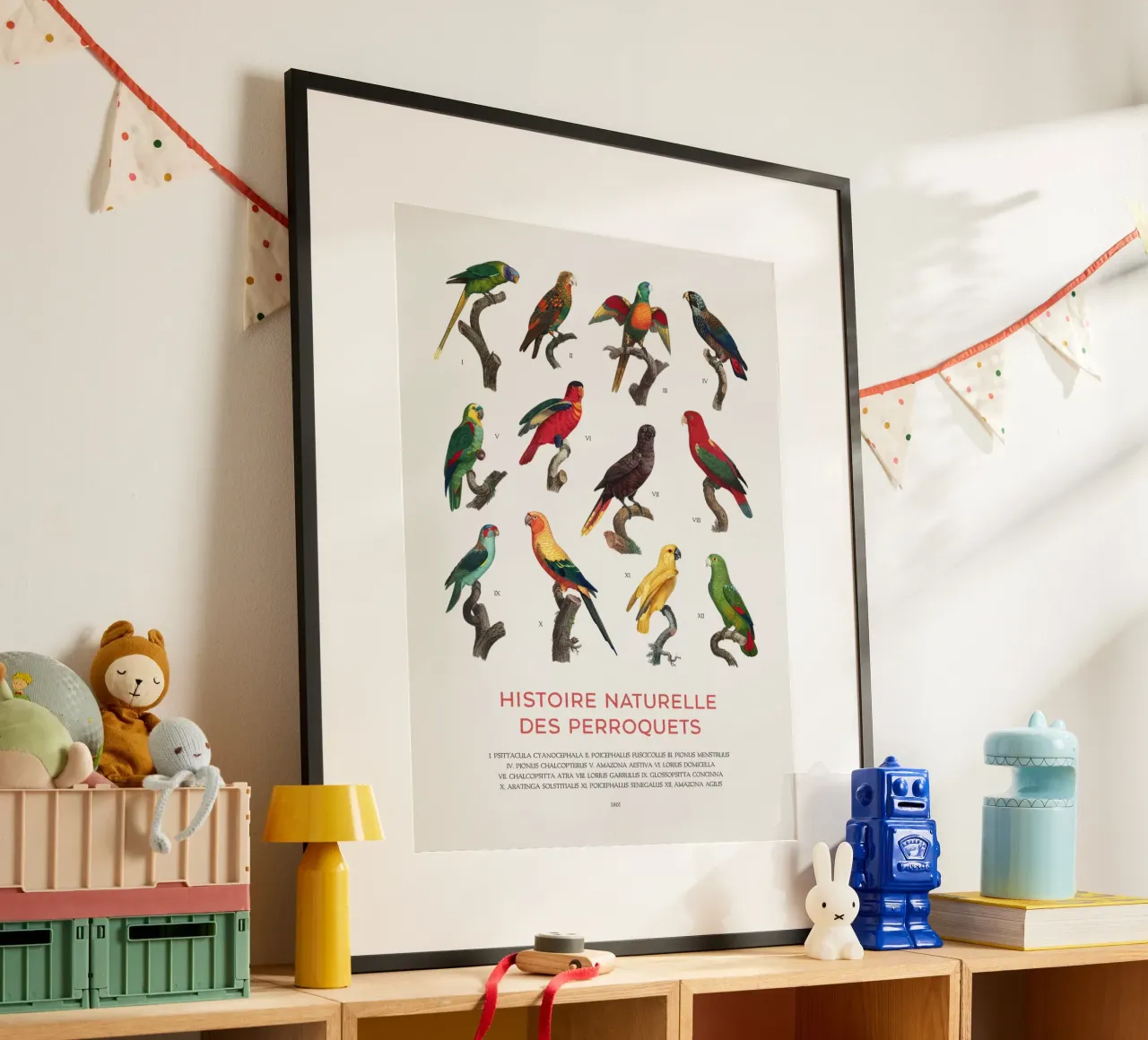 Parrots and Parakeets Identification Chart hahnemühle by Vintagrafica