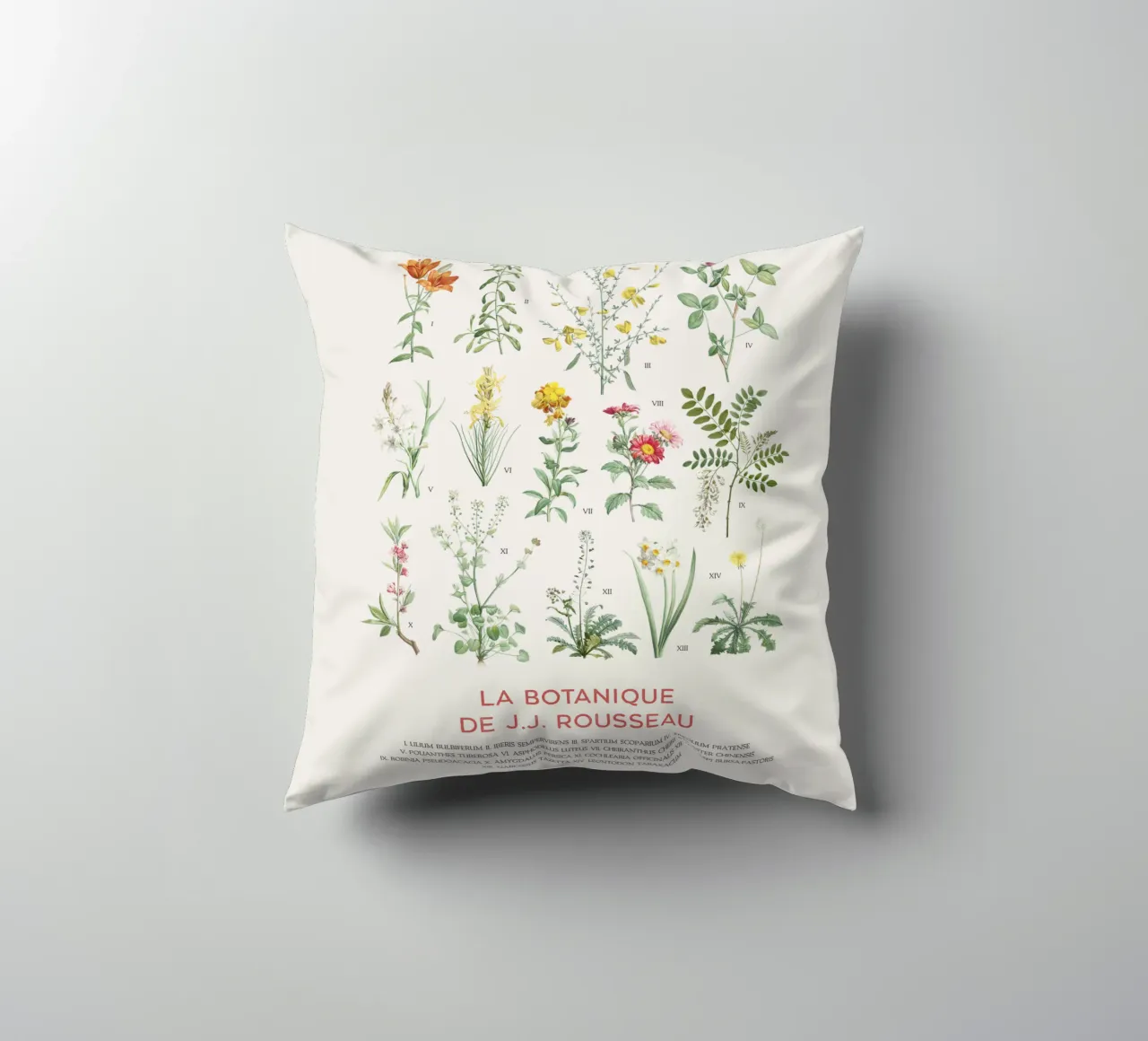 Tabella botanica dei fiori selvatici cuscino da Vintagrafica