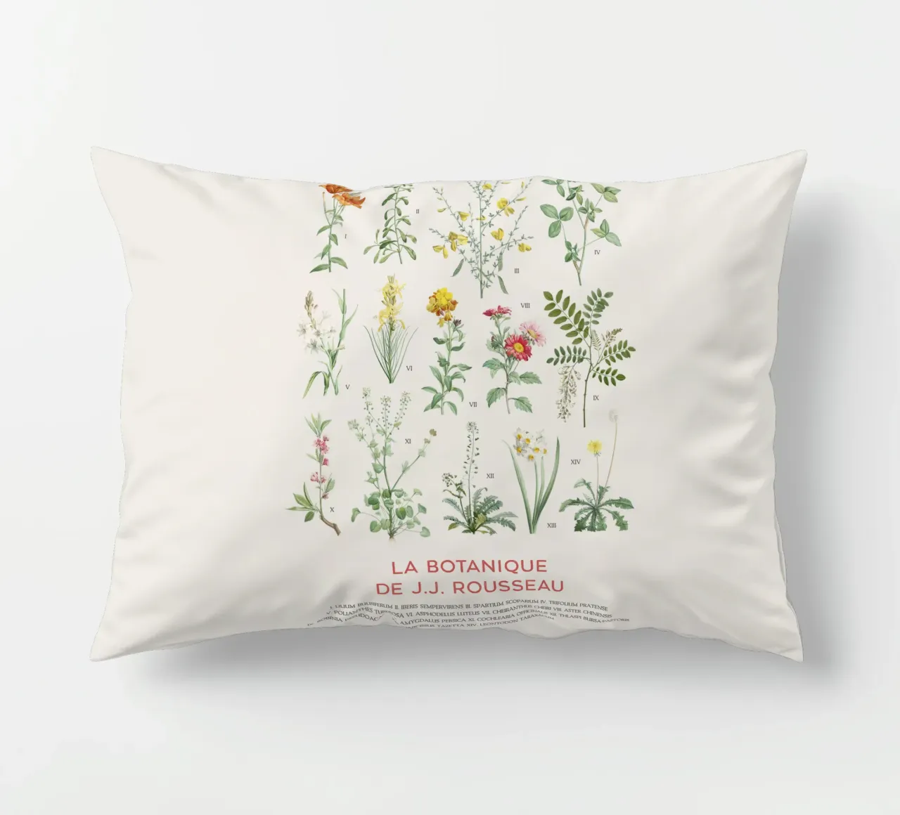Tabella botanica dei fiori selvatici cuscino da Vintagrafica