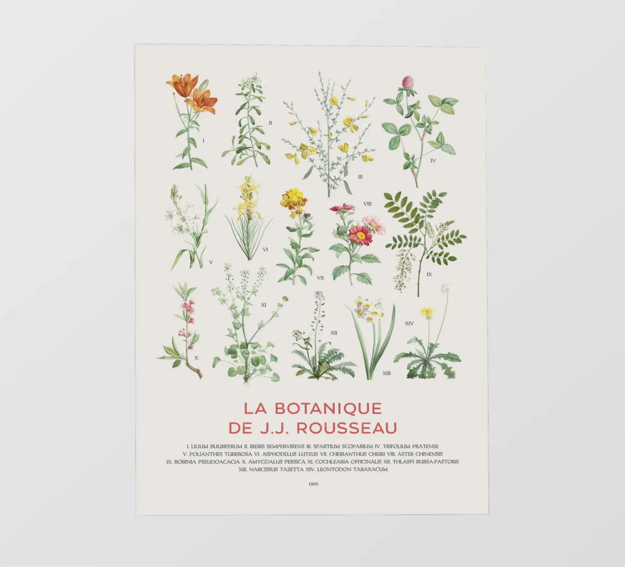 Wildflowers botanical chart pvc cover by Vintagrafica