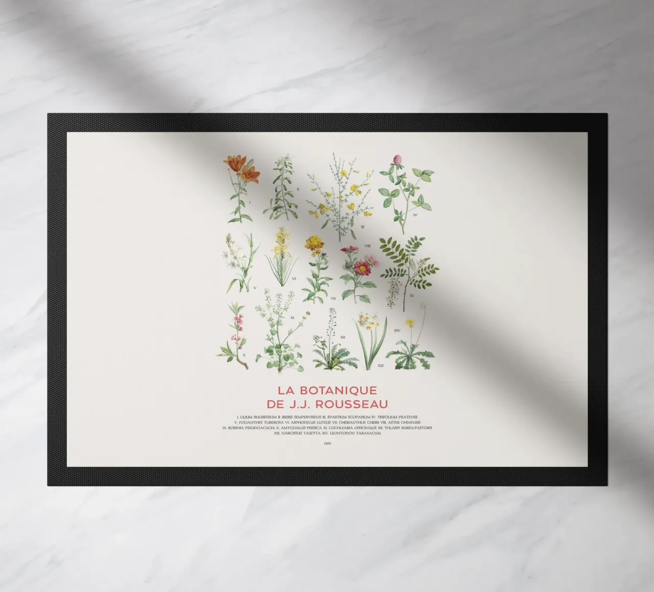 Wildflowers botanical chart doormat by Vintagrafica