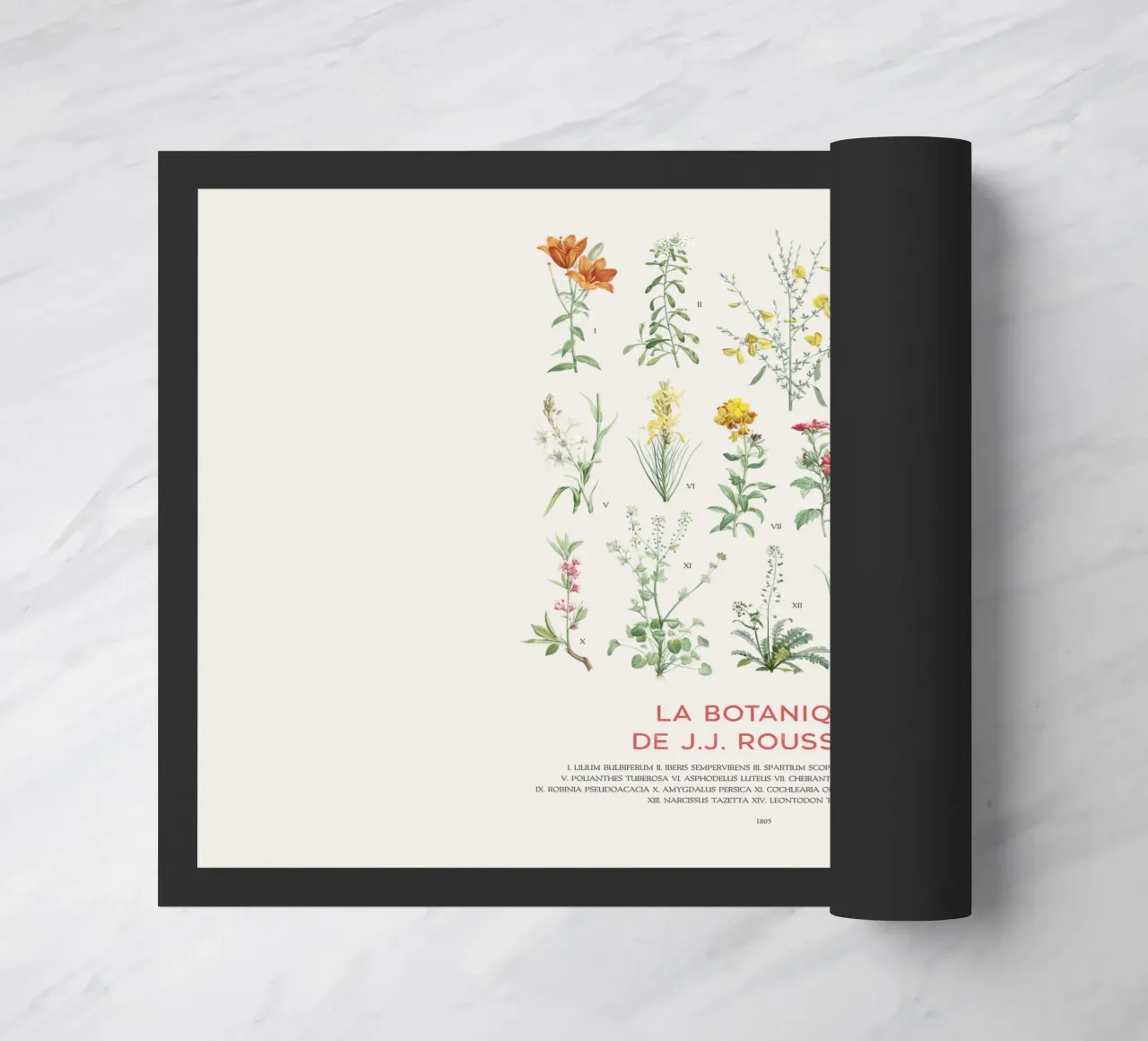 Wildflowers botanical chart doormat by Vintagrafica
