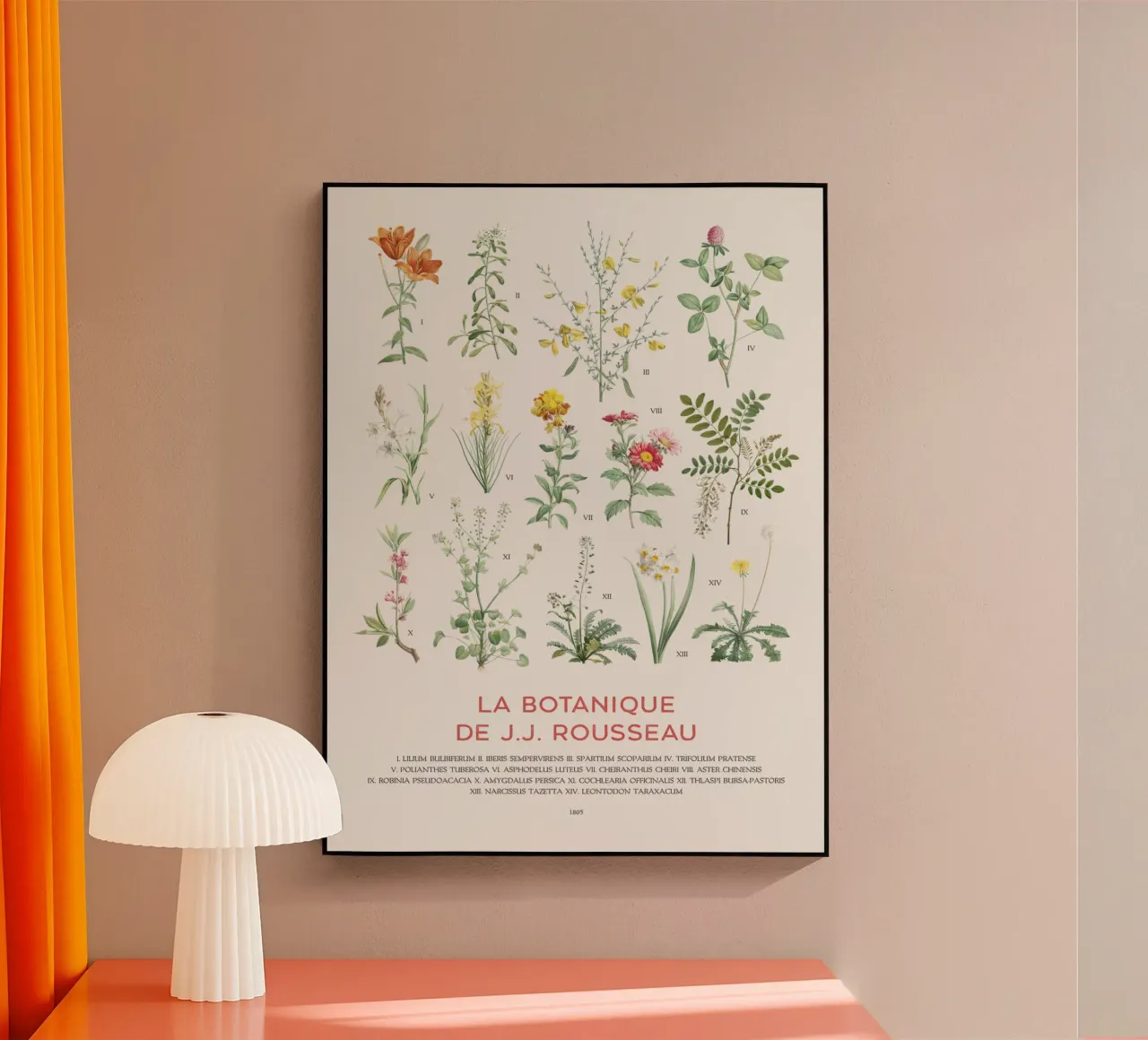 Wildflowers botanical chart acrylic glass by Vintagrafica