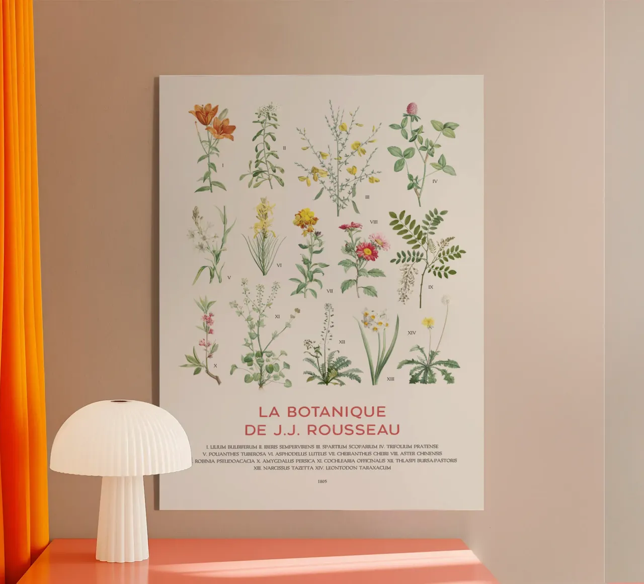 Wildflowers botanical chart acrylic glass by Vintagrafica