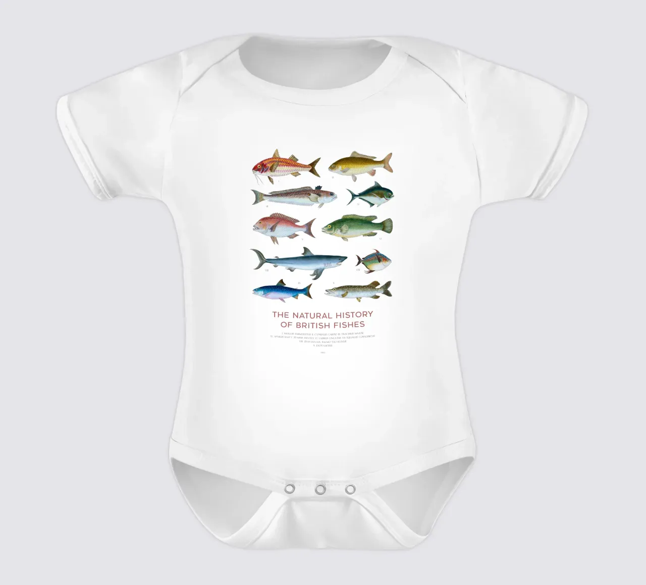 Tipi di pesce body neonato maniche corte da Vintagrafica