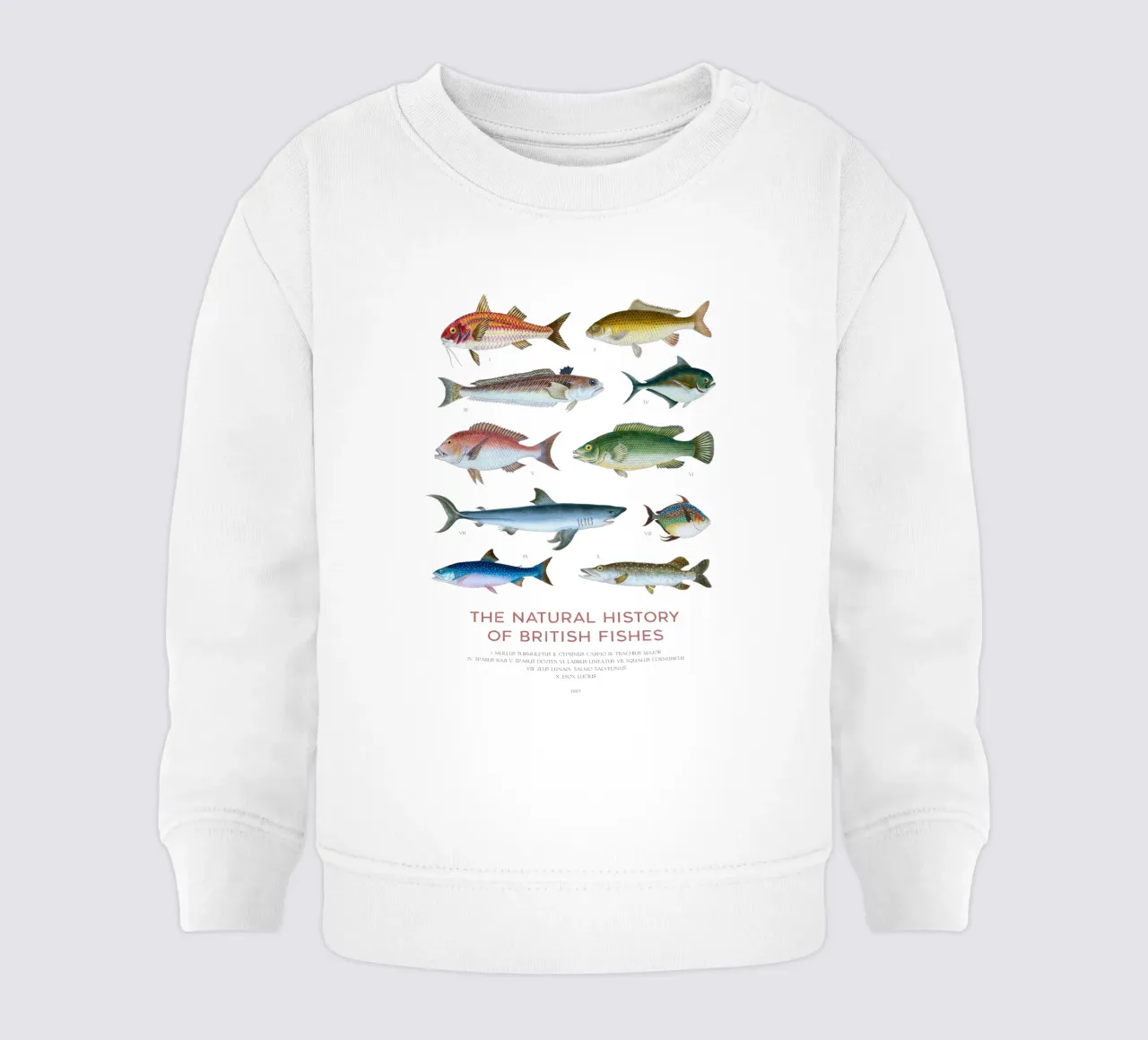 Tipi di pesce felpa neonato da Vintagrafica