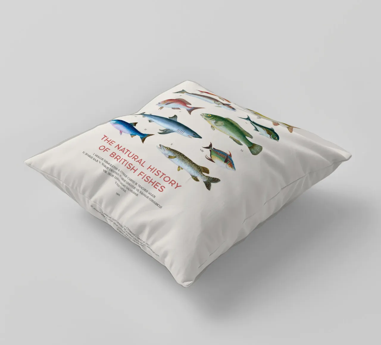 Tipi di pesce cuscino da Vintagrafica