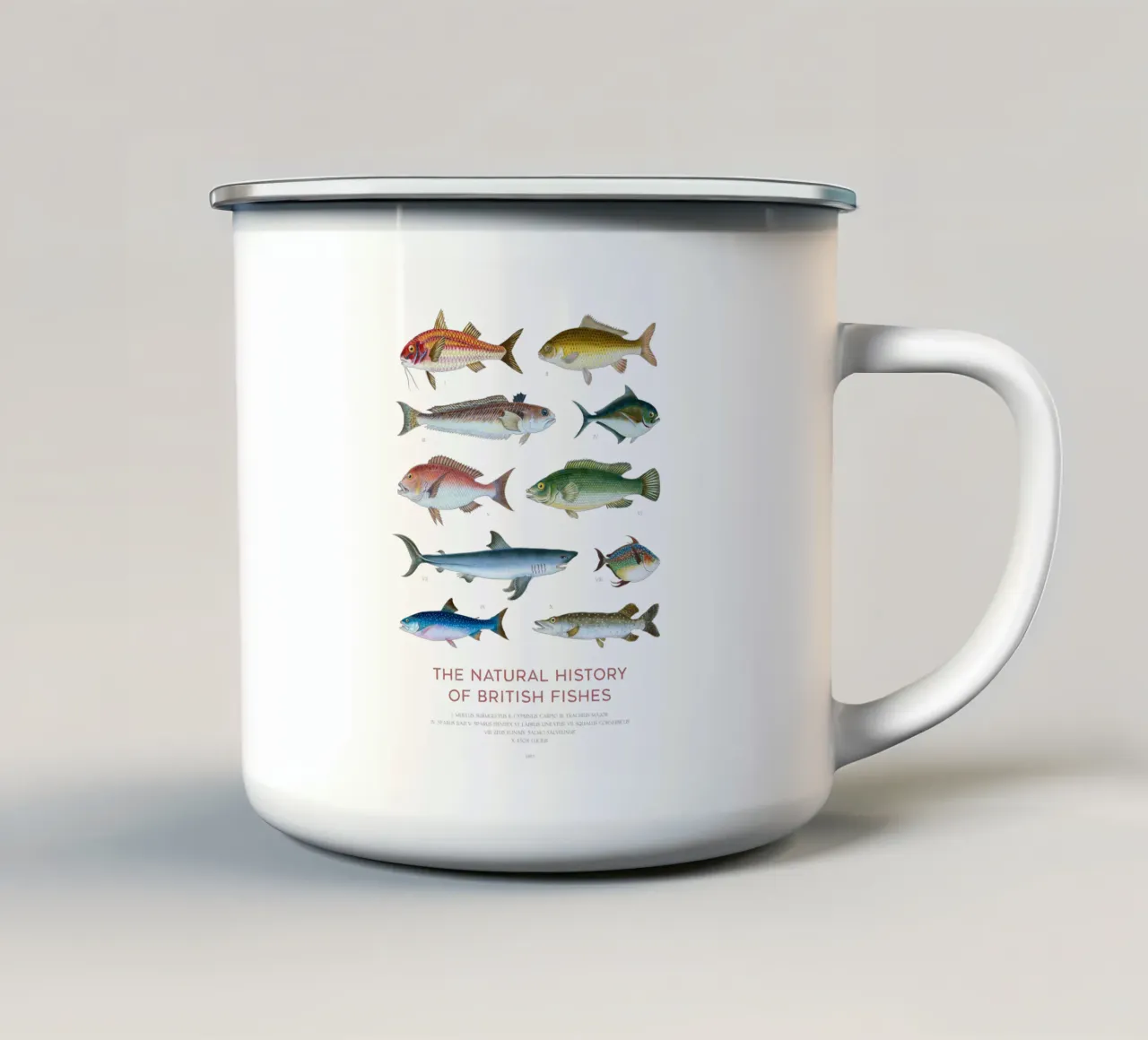 Tipi di pesce tazza in smalto da Vintagrafica