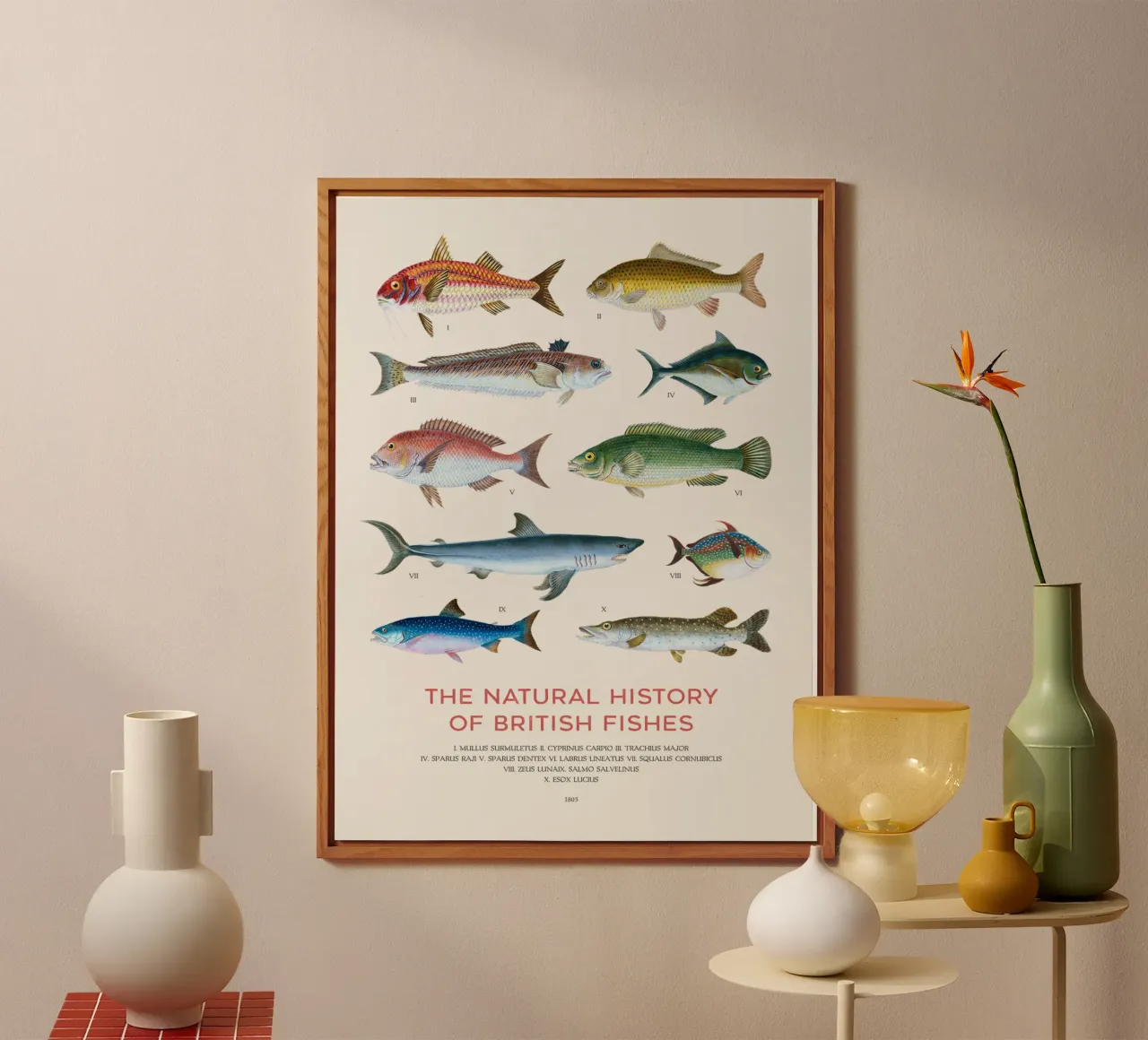 Tipi di pesce alluminio dibond da Vintagrafica