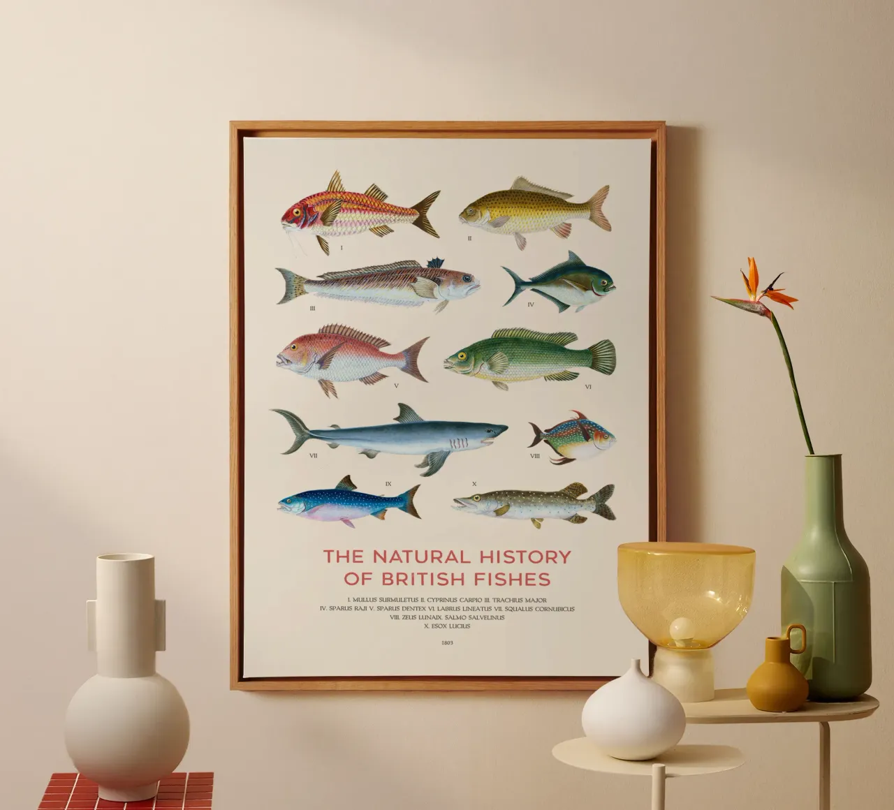 Tipi di pesce tela da Vintagrafica