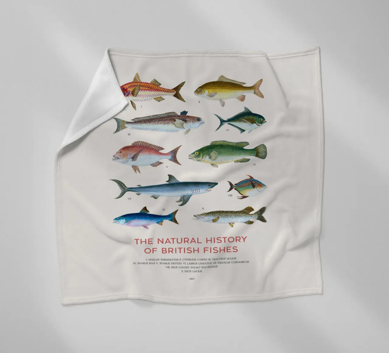 Tipi di pesce coperta in pile da Vintagrafica
