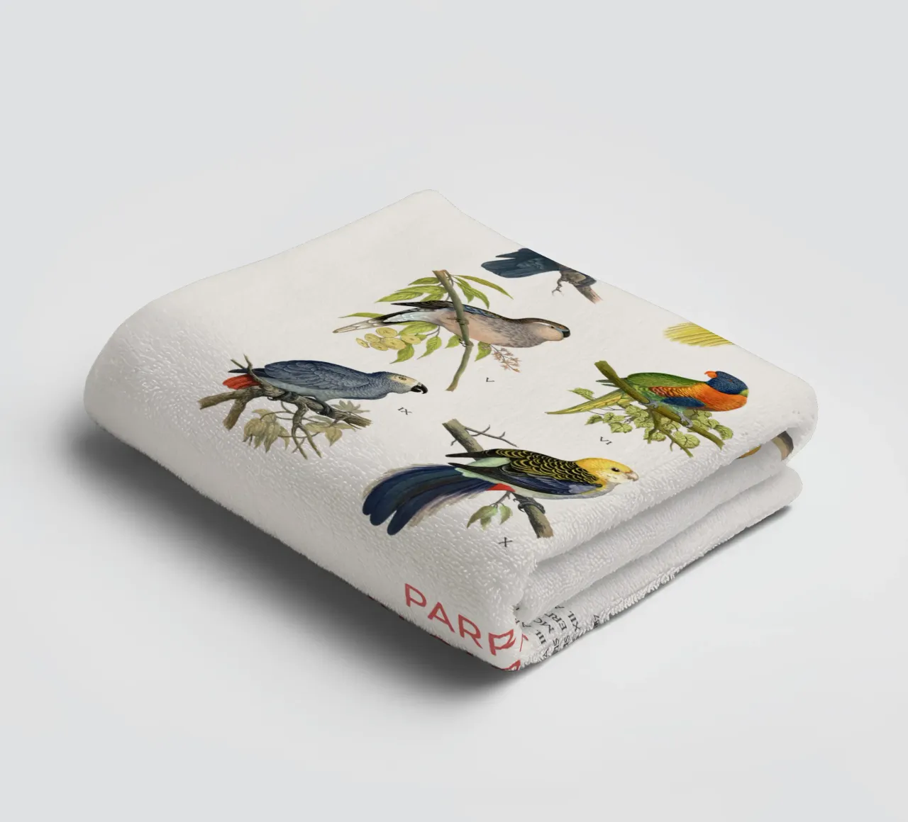 Types of Parrots chart towel by Vintagrafica