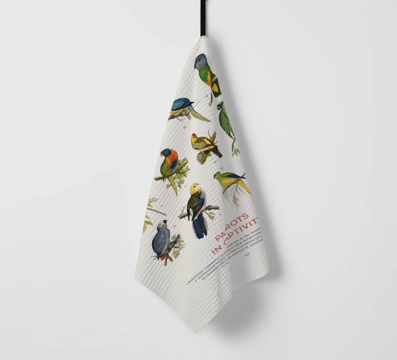 Types of Parrots chart tea towel by Vintagrafica